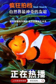 疯狂拍档：自然界最神奇的友谊