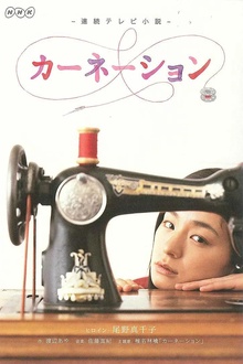 康乃馨
