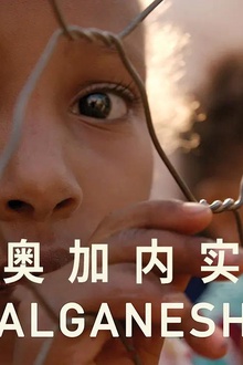 奥加内实