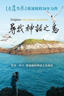 寻找神话之鸟