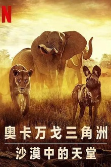 幸存的天堂