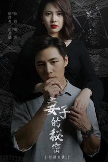 妻子不能说的秘密（妻子的秘密）