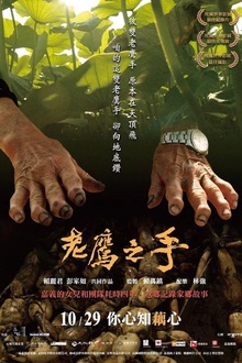 老鹰之手