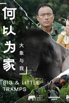 何以为家：大象与我
