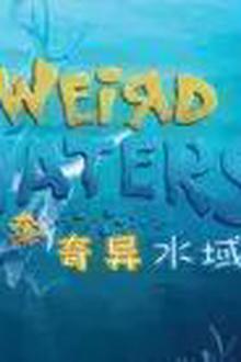 奇异水域第一季