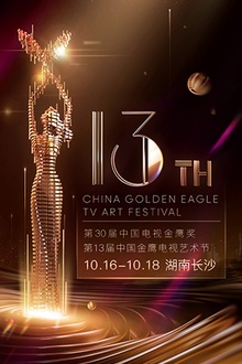 第十三届中国金鹰电视艺术节