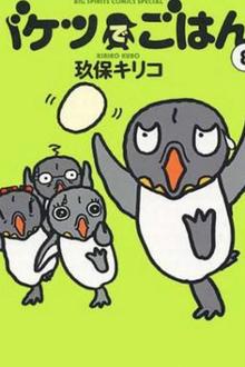 企鹅掌门人