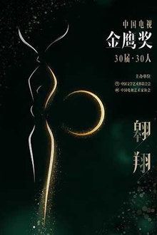 中国电视金鹰奖30届·30人