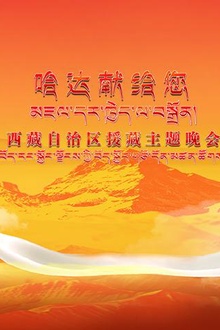 《哈达献给您》西藏自治区援藏主题晚会