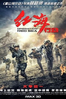 红海行动2018