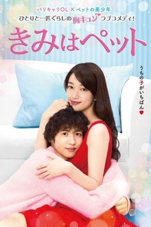 宠物情人2017