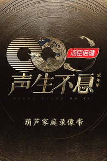 声生不息·家年华葫芦家庭录像带