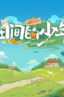 田间的少年