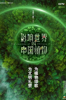 影响世界的中国植物
