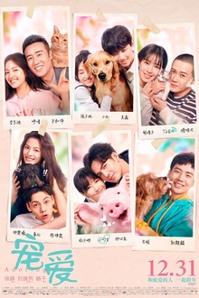 宠爱2019