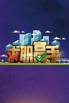 求职高手