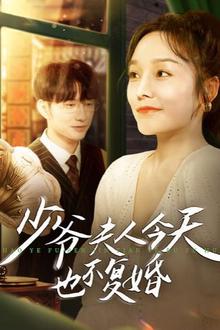 少爷夫人今天也不复婚
