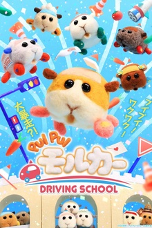 天竺鼠车车学车篇