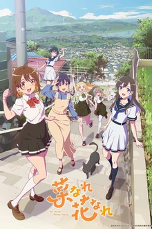 亦叶亦花