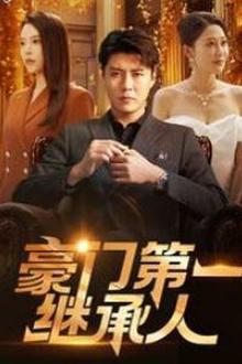豪门第一继承人