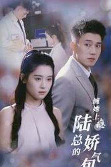 缠她上瘾陆总的娇气包