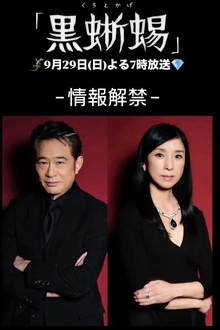 黑蜥蜴2024