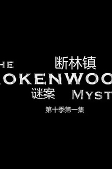 断林镇谜案第十季