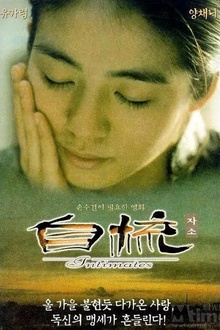 自梳1997