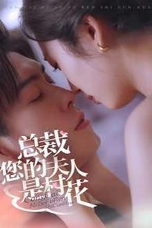 总裁您的夫人是村花