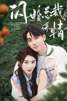 闪婚总裁太深情