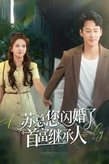 苏总您闪婚了首富继承人