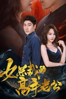 女总裁的高手老公