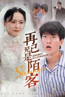 再见已是陌客（归来的星光）