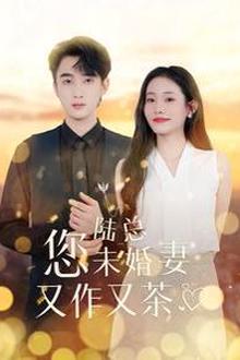 陆总您未婚妻又作又茶