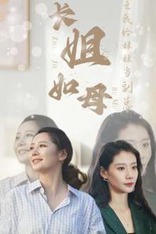 长姐如母之我给妹妹当副总