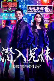 潜入兄妹 特殊诈欺特命搜查官