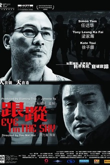 跟踪2007