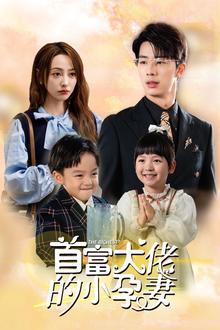 首富大佬的小孕妻