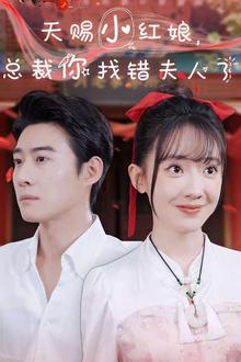 天赐小红娘总裁你找错夫人了