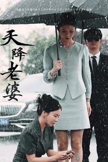 天降老婆