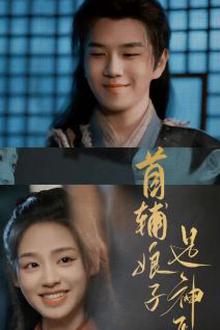 首辅娘子是神医