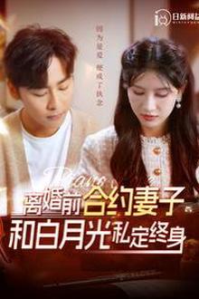 离婚前合约妻子和白月光私定终身