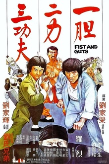 一胆二力三功夫[电影解说]