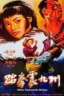 跆拳震九州[电影解说]