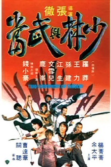 少林与武当1980[电影解说]