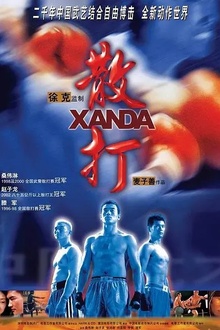 散打2004[电影解说]
