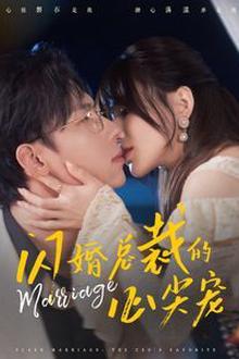 闪婚总裁的心尖宠
