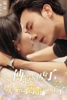 傅总别虐了夫人早把离婚书签好了