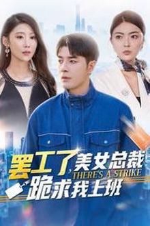 罢工了美女总裁跪求我上班