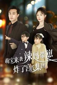 萌宝来袭辣妈带崽炸了宫氏集团